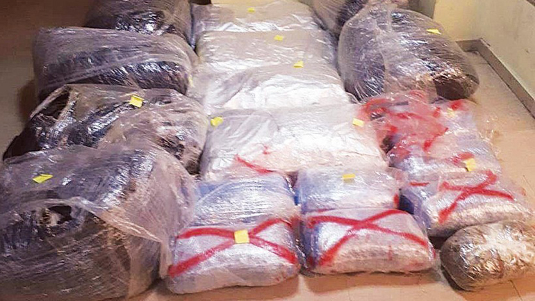 Κομοτηνή: 112 κιλά κάνναβη στα χέρια της Δίωξης Ναρκωτικών