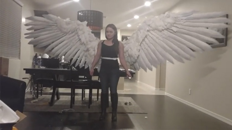 Τα μηχανικά φτερά