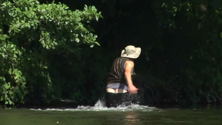 Προσοχή στην αρκούδα!