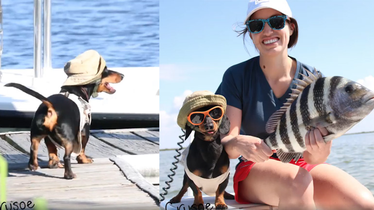 Ο σκύλος λατρεύει το ψάρεμα!