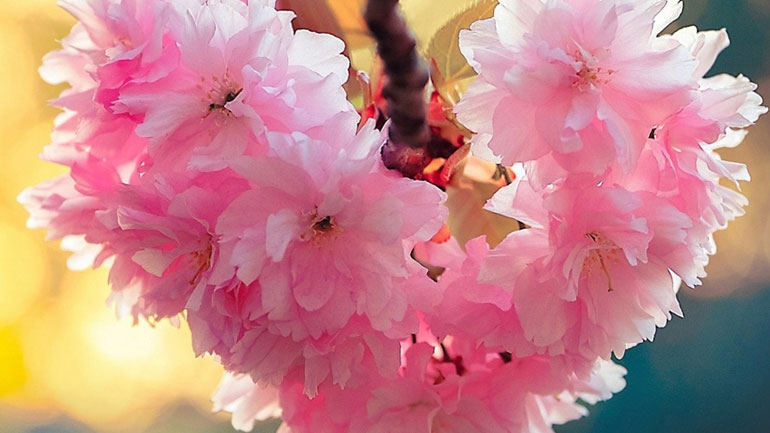 Αισθηματικές προβλέψεις Μαΐου για όλα τα ζώδια!