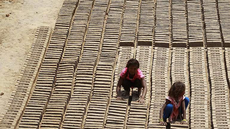 Ινδία: Χωρικοί σκότωσαν 13 αδέσποτα σκυλιά για να εκδικηθούν τον θάνατο παιδιών