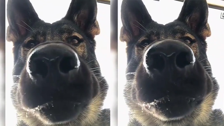 Όταν ανοίγει κατά λάθος η μπροστινή κάμερα