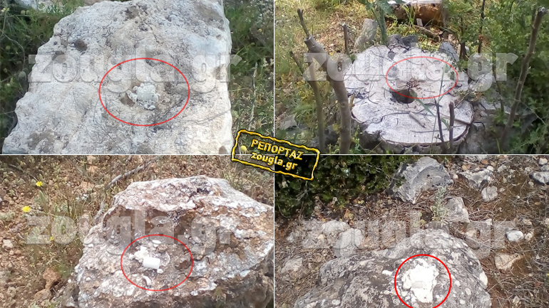 Εύβοια: Άγνωστοι σκοτώνουν πετώντας δεκάδες φόλες υδροκυανίου σε αγροτική περιοχή