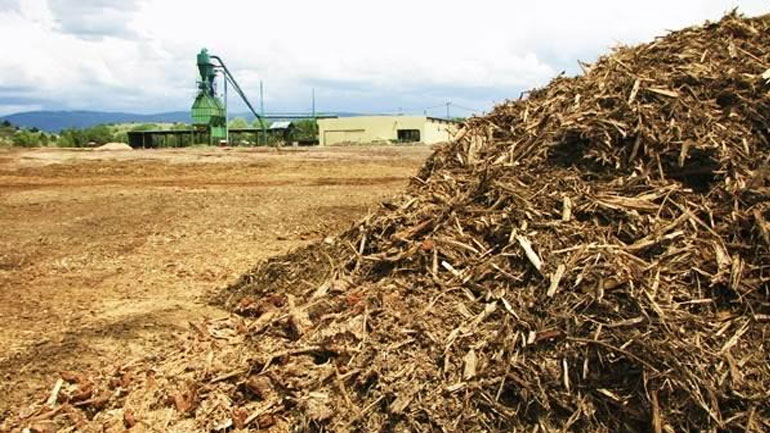Θεσσαλονίκη: Ξεκινούν σχεδιασμοί για παραγωγή ηλεκτρικής ενέργειας από… άχυρο