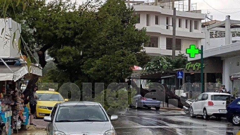 Πτώση μεγάλου δένδρου έξω από το Ασκληπιείο Βούλας – Διεκόπη η κυκλοφορία