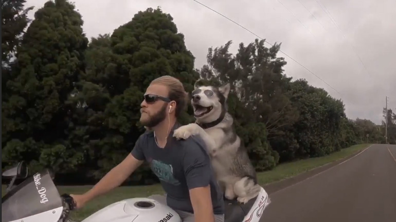 Το αχτύπητο δίδυμο