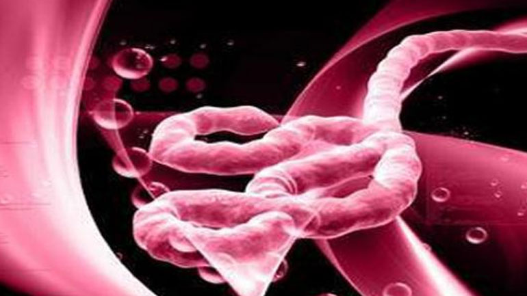 Λ.Δ. του Κονγκό: Δύο επιβεβαιωμένα κρούσματα του Έμπολα στην πόλη Μπικόρο