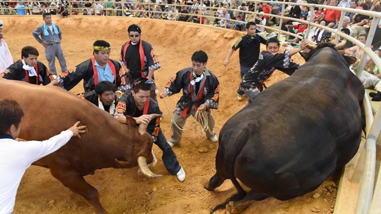 Οι διοργανωτές ταυρομαχιών στην Ιαπωνία ήραν τον κανόνα «μόνον-άνδρες»