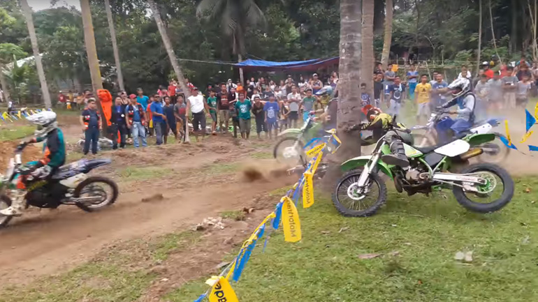 Πήρε αγκαλιά τον φοίνικα