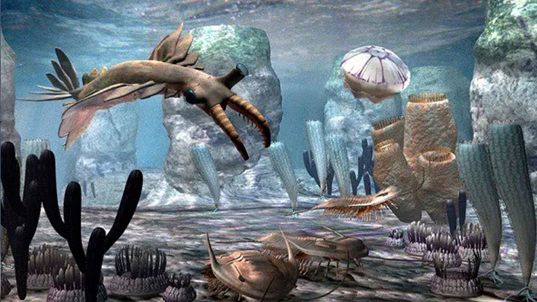 Θεωρία για τη ζωή στη Γη πριν από 500 εκατ. έτη: Η ζέστη προκάλεσε την εμφάνιση νέων ειδών Θεωρία για τη ζωή στη Γη πριν από 500 εκατ. έτη: Η ζέστη προκάλεσε την εμφάνιση νέων ειδών