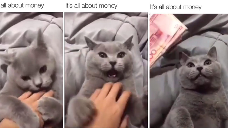 Όλα τα λεφτά! Όλα τα λεφτά!