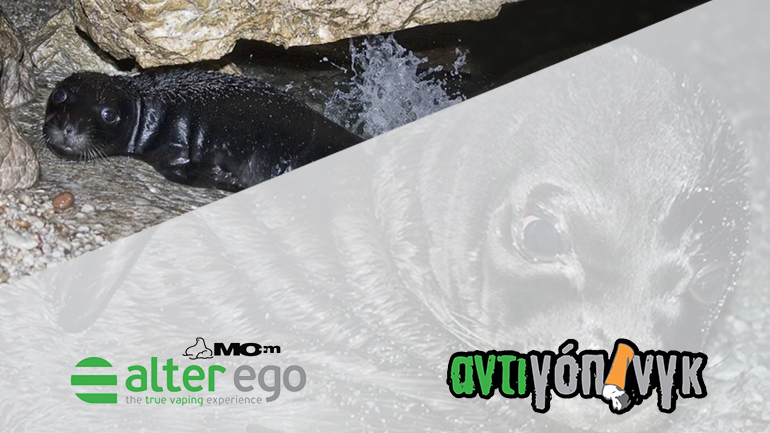 Εκστρατεία «Αντιγόπινγκ» από την Alter Ego: Γιατί το τσιγάρο δεν σκοτώνει μόνο τον άνθρωπο