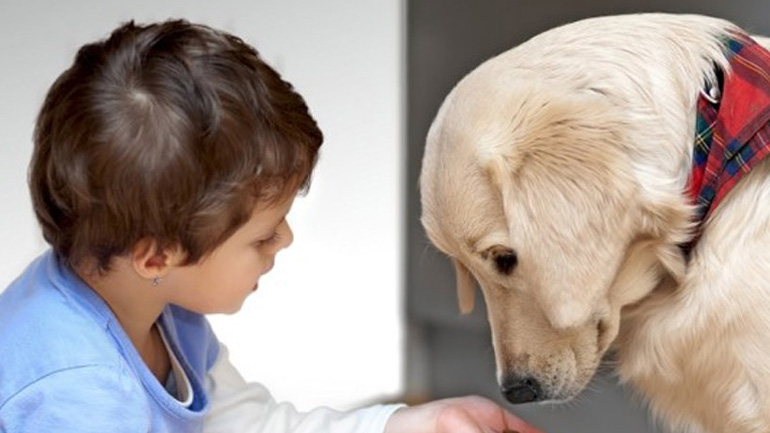 Σε ποια ηλικία μπορεί ένα παιδί να φροντίσει τον σκύλο ή τη γάτα;