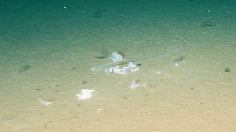 Ειρηνικός Ωκεανός: Βρέθηκε πλαστική σακούλα στο βαθύτερο σημείο της θάλασσας στα 10.898 μέτρα