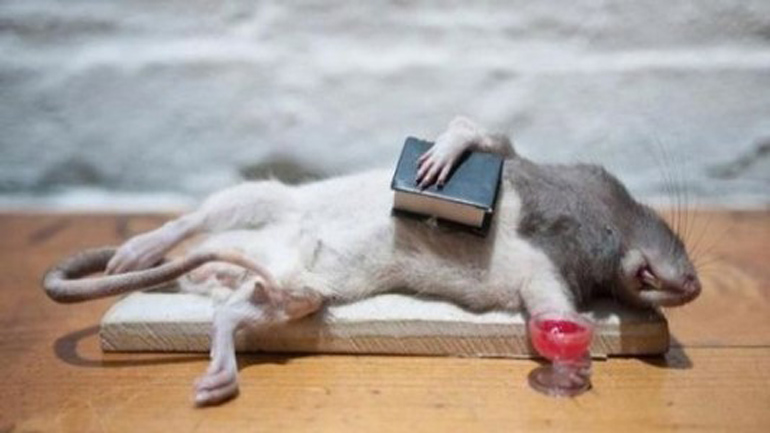 Ερευνητές στο UCLA δημιούργησαν χάπι για το… hangover