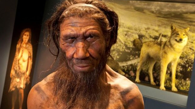 Πείραμα: Θα εισαγάγουν DNA Νεάντερταλ σε εγκεφαλικούς ιστούς του Homo Sapiens