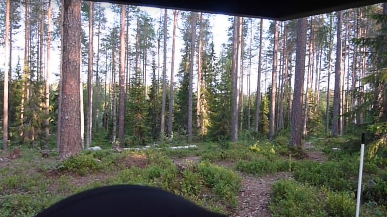 Ο βρυχηθμός μιας αρκούδας