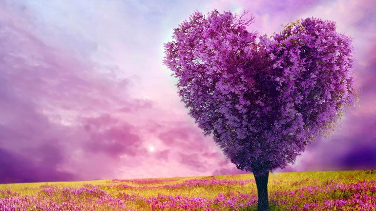 Δείτε τις εβδομαδιαίες αισθηματικές προβλέψεις για όλα τα ζώδια