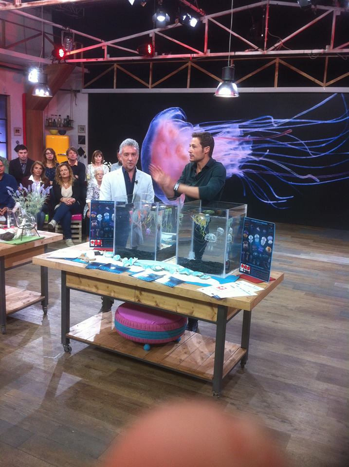 O καθηγητής παρουσιάζει τα νέα στοιχεία για τις μέδουσες στη RAI