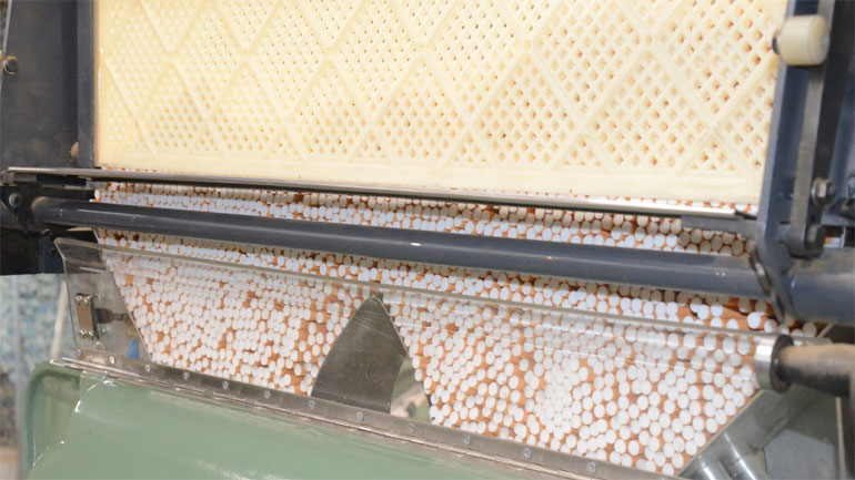 Ολόκληρο καπνεργοστάσιο είχαν στήσει στο Κορωπί