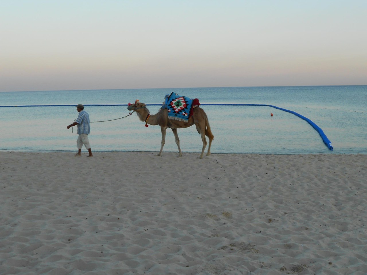 Τα δίχτυα έχουν εφαρμογή και σε άλλες χώρες