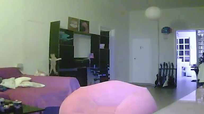 Το απίστευτο fail ενός γάτου