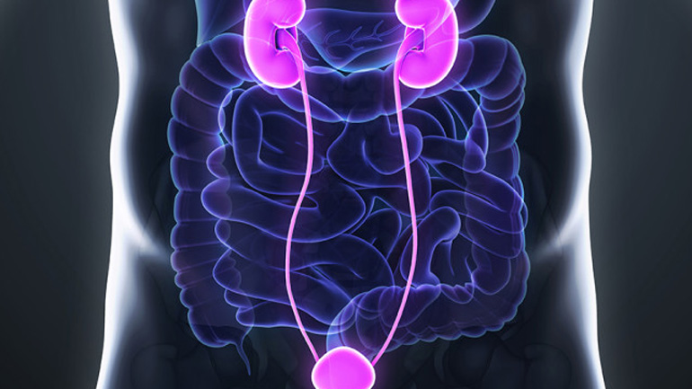 Τι πρέπει να γνωρίζουν οι άνδρες για το σεξ και τις λοιμώξεις του ουροποιητικού