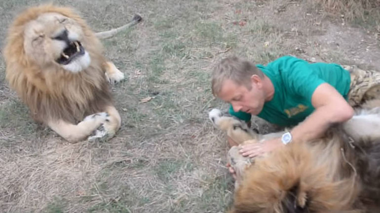 Όταν γίνεσαι κολλητός με τον βασιλιά της ζούγκλας