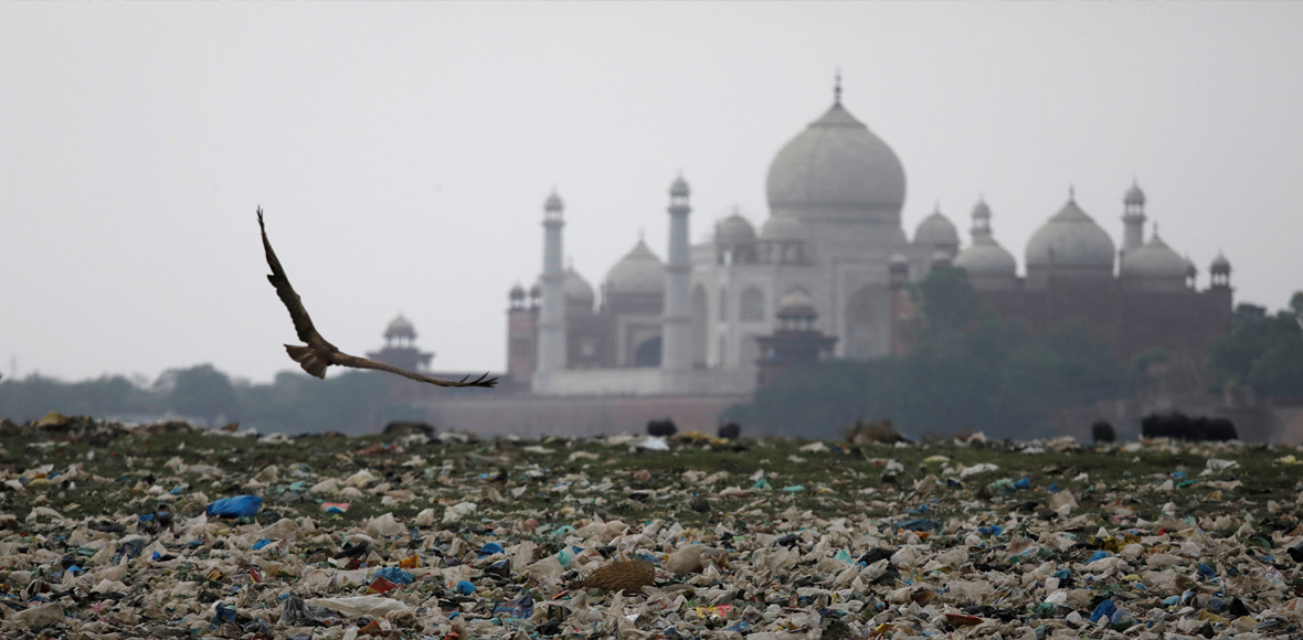 Η ομορφιά μέσα στον σκουπιδότοπο