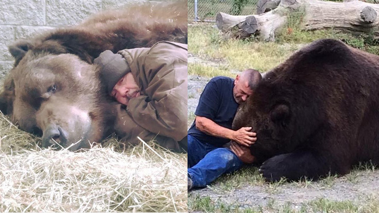 Οι τρυφερές στιγμές ενός ανθρώπου με μία αρκούδα Οι τρυφερές στιγμές ενός ανθρώπου με μία αρκούδα