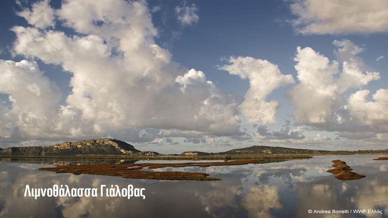 LIFE-IP 4 NATURA: Το μεγαλύτερο πρόγραμμα LIFE για την προστασία της ελληνικής φύσης ξεκινά LIFE-IP 4 NATURA: Το μεγαλύτερο πρόγραμμα LIFE για την προστασία της ελληνικής φύσης ξεκινά