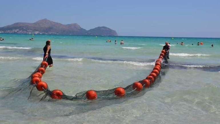 Αρχίζει ο «πόλεμος» κατά της… τσούχτρας: Τοποθετείται πλωτό φράγμα στην Αλυκή Βοιωτίας