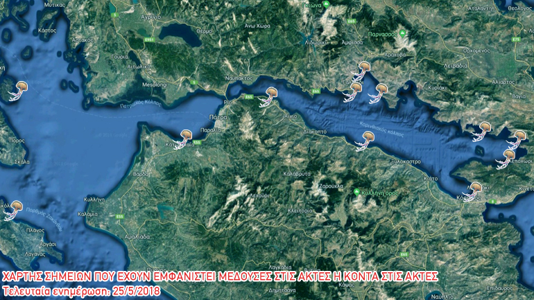 Δείτε στον χάρτη σε ποιες περιοχές έχουν εμφανιστεί φέτος μέδουσες