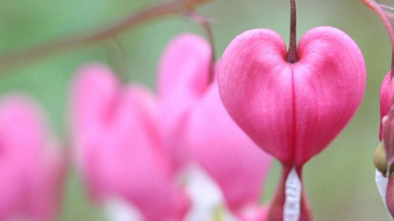 Οι προβλέψεις για τα αισθηματικά σου αυτή την εβδομάδα