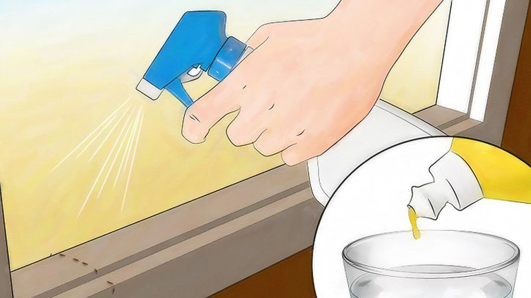 Εξαφανίστε τα μυρμήγκια με τον πιο φυσικό τρόπο