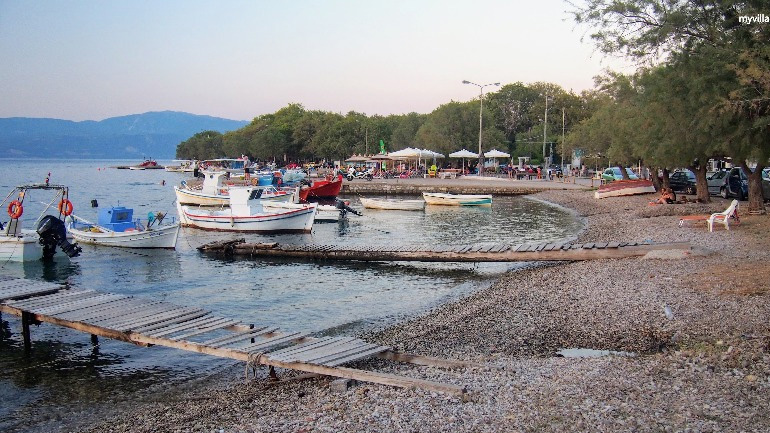 Πελάτες γιούχαραν τους εφοριακούς στον Ψαθόπυργο Αχαΐας