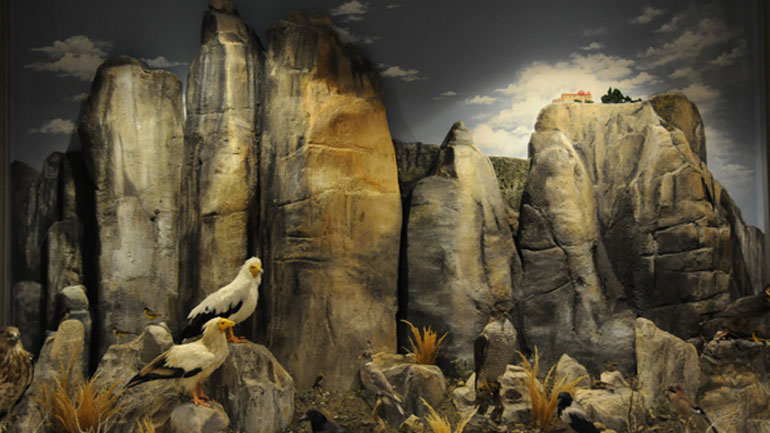 Bράβευση για το Mουσείο Φυσικής Ιστορίας Μετεώρων και Μουσείο Μανιταριών