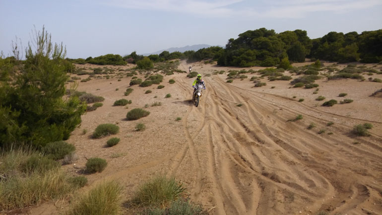 Περιβαλλοντικές οργανώσεις: Ανάγκη προστασίας του Κυπαρισσιακού Κόλπου
