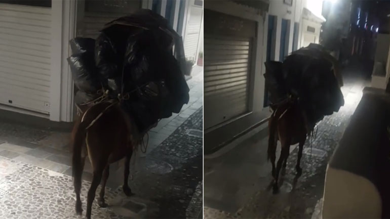 Απάνθρωπη μεταχείριση γαϊδουριού στη Σαντορίνη