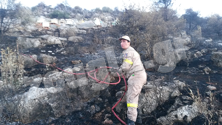 Κατασβέστηκε εγκαίρως η πυρκαγιά σε κατοικημένη περιοχή στα Άνω Λιόσια