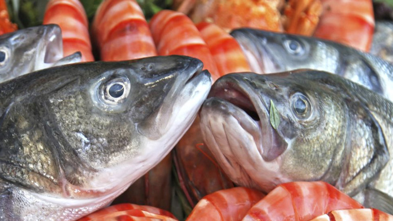 Δέσμευση αλιευμάτων σε ψυκτική αποθήκη του Πειραιά λόγω ακατάλληλης συσκευασίας