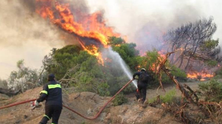 Υπό μερικό έλεγχο τέθηκε η φωτιά στον Πισσώνα Ευβοίας