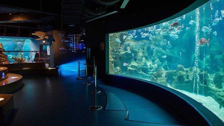 Ενυδρείο Κρήτης: Μια «βουτιά» στη Μεσόγειο