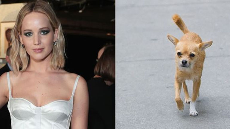 Με το σκυλάκι της στο BAM Gala η Jennifer Lawrence
