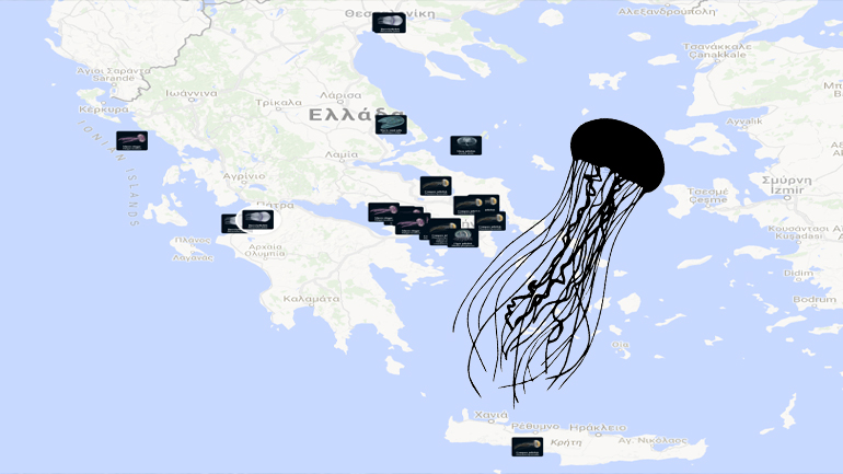 Δείτε που εμφανίζονται μέδουσες σύμφωνα με το Παρατηρητήριο Βιοποικιλότητας