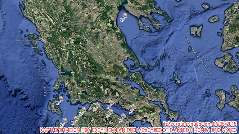 Νέα ενημέρωση: Δείτε στον χάρτη σε ποιες περιοχές έχουν εμφανιστεί μέδουσες