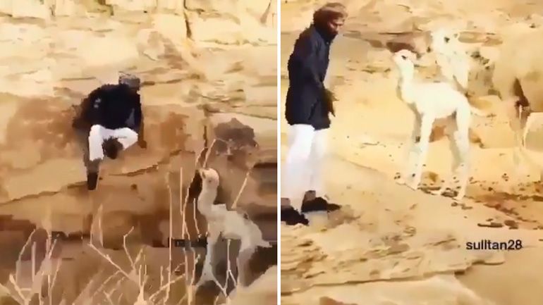 Άνδρας βοηθάει ένα εγκλωβισμένο μωρό καμήλας