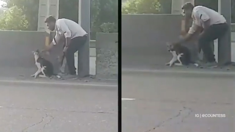 Θαρραλέος άνδρας σώζει σκύλο από βέβαιο θάνατο