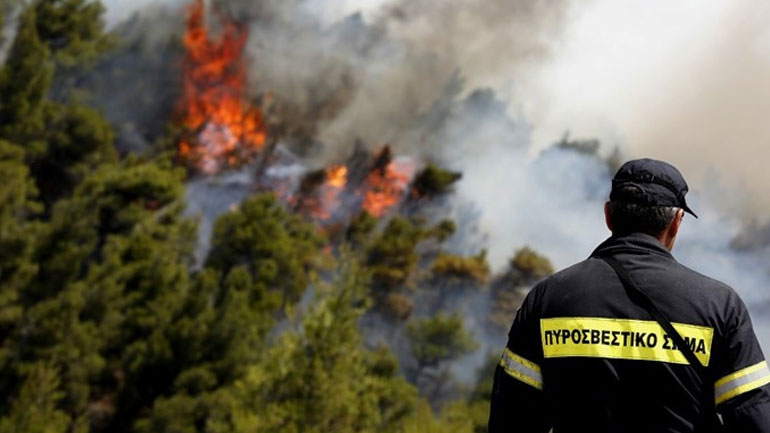 Υπό έλεγχο οι εστίες φωτιάς σε δασικές περιοχές του νομού Χαλκιδικής